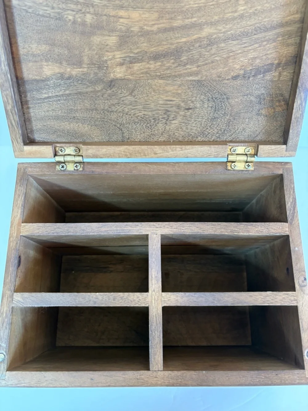 NWT Anthropologie Terrain Mushroom Seed Storage Box